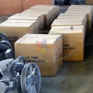 Air Pump BVI40