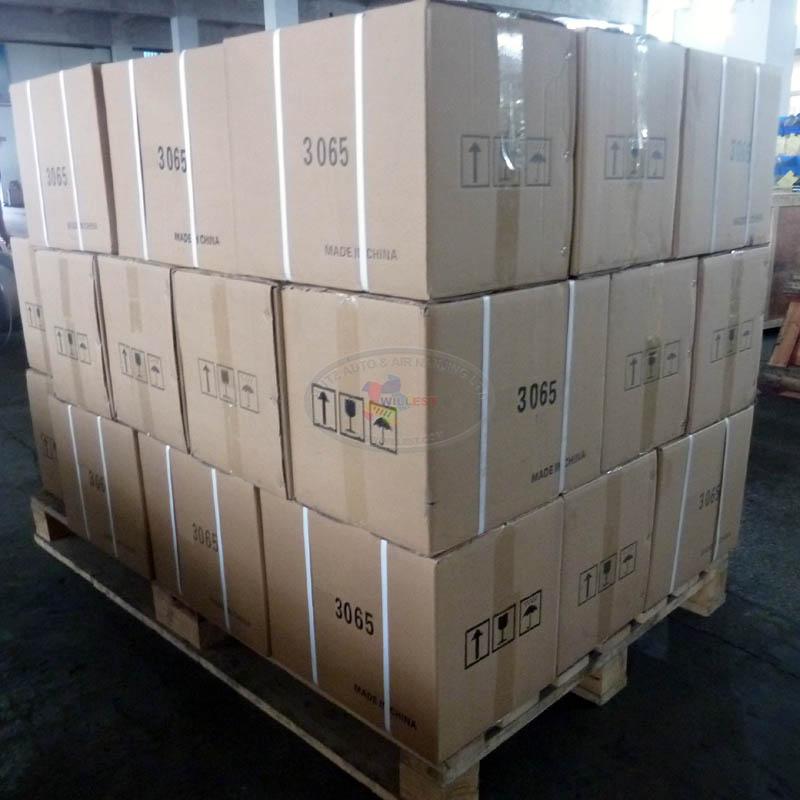 Air Pump BWI40R